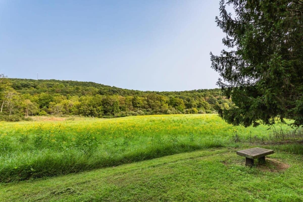 Huge Cabin W Hot Tub, Deck, Grill, Fire Pit, Wifi Berkeley Springs Exteriör bild