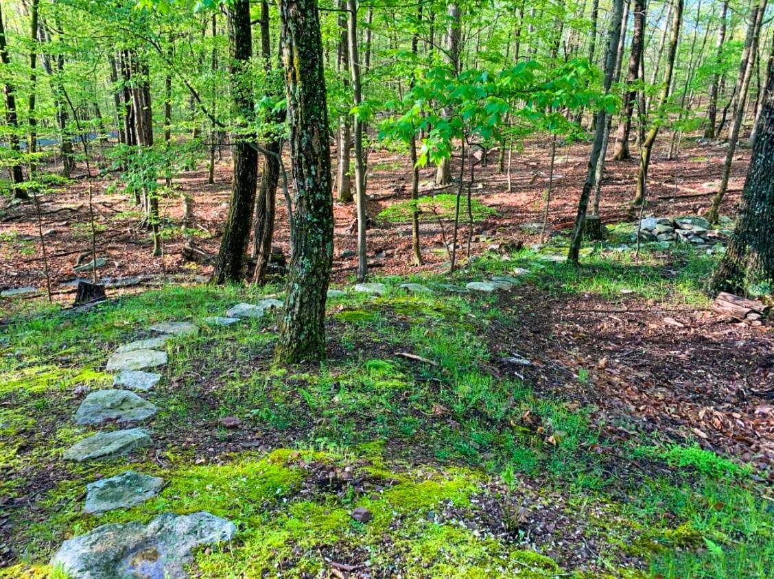Huge Cabin W Hot Tub, Deck, Grill, Fire Pit, Wifi Berkeley Springs Exteriör bild